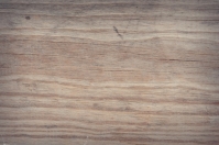 Zastosowanie i właściwości drewna eukaliptusowego